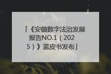 《安徽数字法治发展报告NO.1（2025）》蓝皮书发布