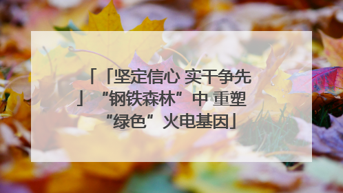 「坚定信心 实干争先」“钢铁森林”中 重塑“绿色”火电基因