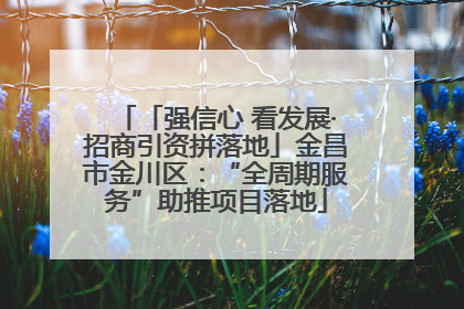 「强信心 看发展·招商引资拼落地」金昌市金川区：“全周期服务”助推项目落地