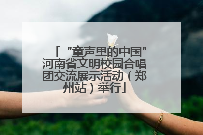 “童声里的中国”河南省文明校园合唱团交流展示活动（郑州站）举行