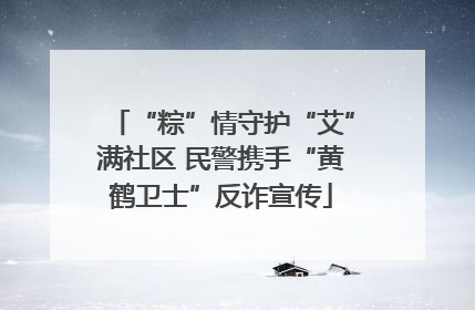 “粽”情守护“艾”满社区 民警携手“黄鹤卫士”反诈宣传