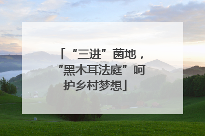 “三进”菌地，“黑木耳法庭”呵护乡村梦想