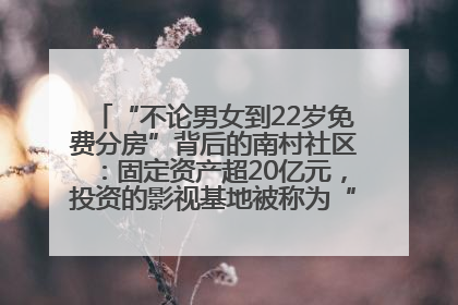 “不论男女到22岁免费分房”背后的南村社区：固定资产超20亿元，投资的影视基地被称为“山村好莱坞”