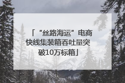 “丝路海运”电商快线集装箱吞吐量突破10万标箱