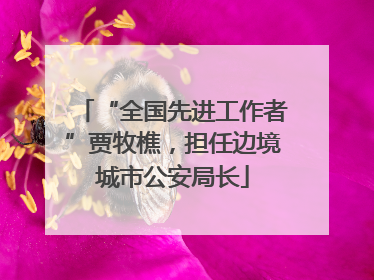 “全国先进工作者”贾牧樵，担任边境城市公安局长