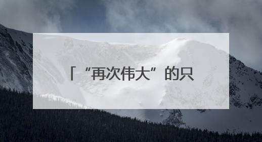 “再次伟大”的只有总统家的生意
