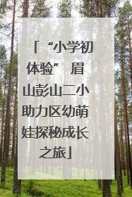 “小学初体验” 眉山彭山二小助力区幼萌娃探秘成长之旅