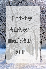 “小小禁毒宣传员”训练营效果好