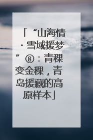 “山海情・雪域援梦”⑧：青稞变金稞，青岛援藏的高原样本