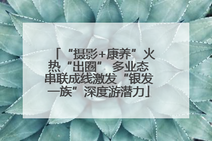 “摄影+康养”火热“出圈” 多业态串联成线激发“银发一族”深度游潜力