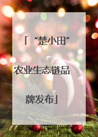 “楚小田”农业生态链品牌发布