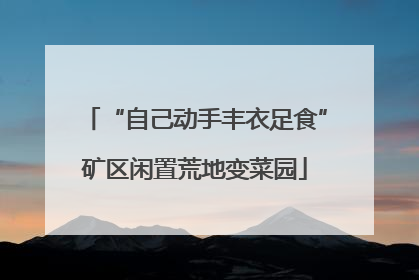 “自己动手丰衣足食”矿区闲置荒地变菜园