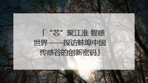 “芯”聚江淮 智感世界——探访蚌埠中国传感谷的创新密码