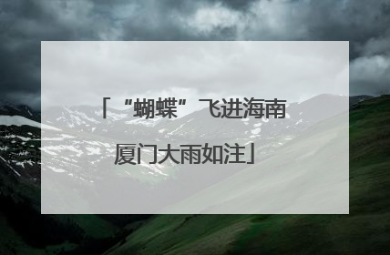 “蝴蝶”飞进海南 厦门大雨如注