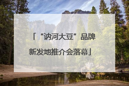 “讷河大豆”品牌新发地推介会落幕