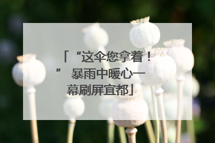 “这伞您拿着！” 暴雨中暖心一幕刷屏宜都