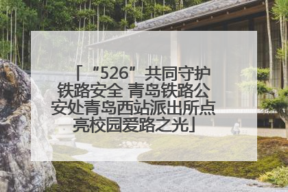 “526”共同守护铁路安全 青岛铁路公安处青岛西站派出所点亮校园爱路之光