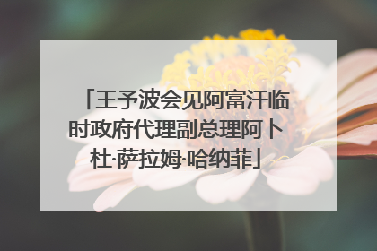 王予波会见阿富汗临时政府代理副总理阿卜杜·萨拉姆·哈纳菲