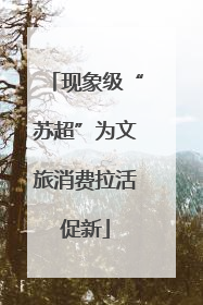 现象级“苏超”为文旅消费拉活促新