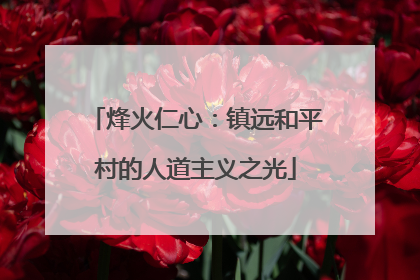 烽火仁心：镇远和平村的人道主义之光