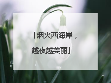 烟火西海岸，越夜越美丽