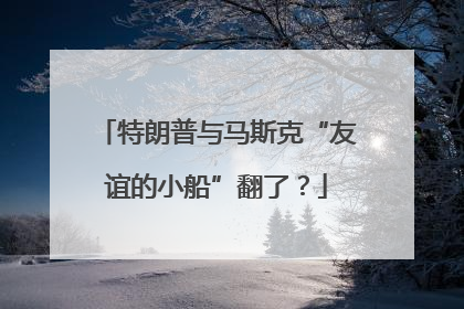 特朗普与马斯克“友谊的小船”翻了？