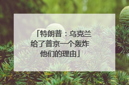特朗普：乌克兰给了普京一个轰炸他们的理由