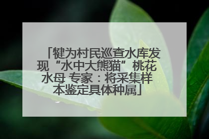 犍为村民巡查水库发现“水中大熊猫”桃花水母 专家：将采集样本鉴定具体种属