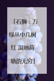 石狮：万绿丛中几树红 湿地荷塘韵无穷