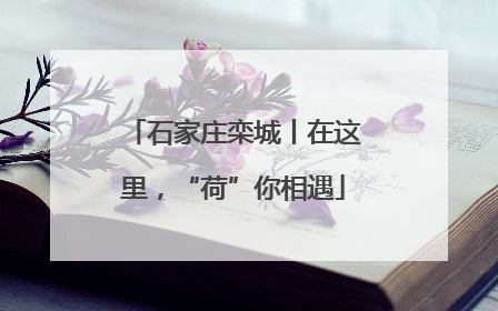 石家庄栾城丨在这里，“荷”你相遇