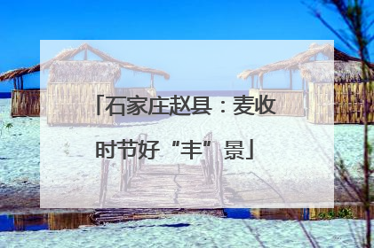 石家庄赵县：麦收时节好“丰”景