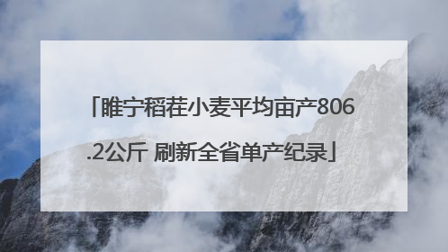 睢宁稻茬小麦平均亩产806.2公斤 刷新全省单产纪录