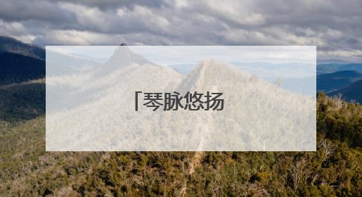 琴脉悠扬 弦歌不辍