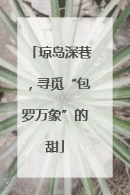 琼岛深巷，寻觅“包罗万象”的甜