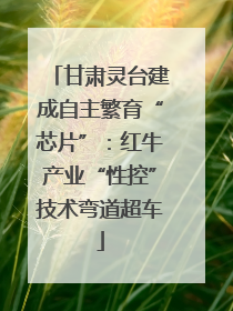 甘肃灵台建成自主繁育“芯片”：红牛产业“性控”技术弯道超车