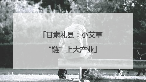 甘肃礼县：小艾草“链”上大产业