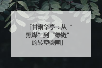甘肃华亭：从“黑煤”到“绿链”的转型突围