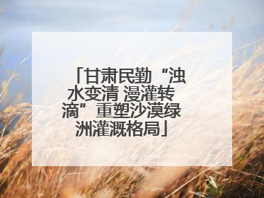 甘肃民勤“浊水变清 漫灌转滴”重塑沙漠绿洲灌溉格局