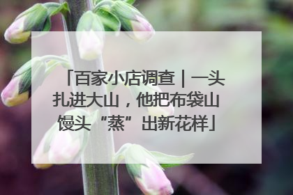 百家小店调查｜一头扎进大山，他把布袋山馒头“蒸”出新花样