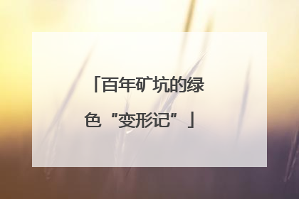百年矿坑的绿色“变形记”