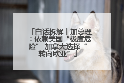 白话拆解丨加总理：依赖美国“极度危险” 加拿大选择“转向欧亚”