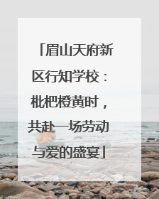 眉山天府新区行知学校：枇杷橙黄时，共赴一场劳动与爱的盛宴