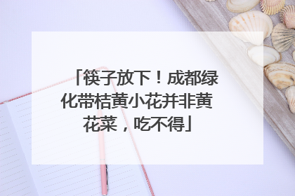 筷子放下！成都绿化带桔黄小花并非黄花菜，吃不得
