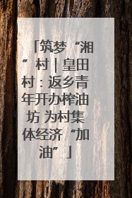 筑梦“湘”村｜皇田村：返乡青年开办榨油坊 为村集体经济“加油”