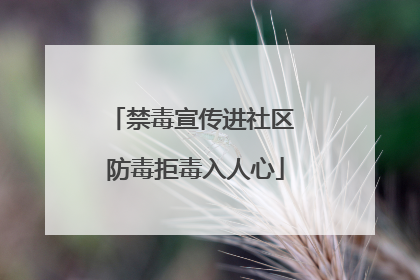 禁毒宣传进社区 防毒拒毒入人心