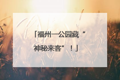 福州一公园藏“神秘来客”！