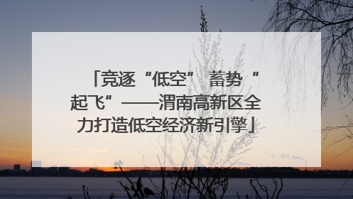 竞逐“低空” 蓄势“起飞”——渭南高新区全力打造低空经济新引擎