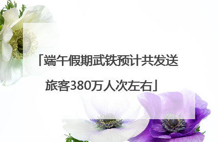 端午假期武铁预计共发送旅客380万人次左右
