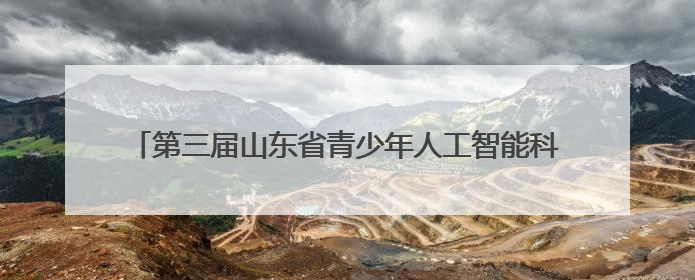 第三届山东省青少年人工智能科普与创新创意大赛交流会召开