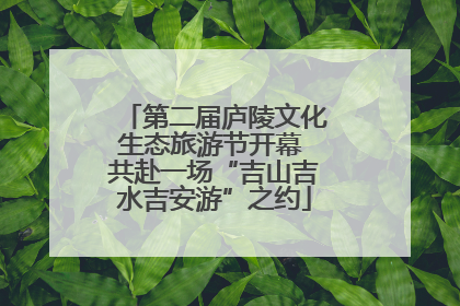 第二届庐陵文化生态旅游节开幕 共赴一场“吉山吉水吉安游”之约